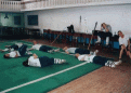 Click image for larger version

Name:	lazy_fighter_slide.gif
Views:	324
Size:	243.2 KB
ID:	63313