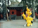 Click image for larger version

Name:	doc&amp;amp;kivi_slide.gif
Views:	314
Size:	605.5 KB
ID:	63314