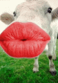 Click image for larger version

Name:	bisousbaveux.gif
Views:	300
Size:	89.2 KB
ID:	63350