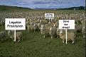 Click image for larger version

Name:	sheepprotest.jpg
Views:	178
Size:	78.2 KB
ID:	63380