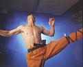 Click image for larger version

Name:	sifu_15.jpg
Views:	431
Size:	95.2 KB
ID:	63406