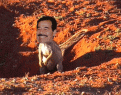 Click image for larger version

Name:	gopher1.gif
Views:	215
Size:	64.7 KB
ID:	63455