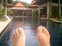 Click image for larger version

Name:	banyonfeet.jpg.jpg
Views:	347
Size:	36.9 KB
ID:	63559