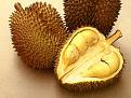 Click image for larger version

Name:	durian01.jpg
Views:	62
Size:	14.4 KB
ID:	63720