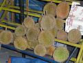 Click image for larger version

Name:	durians.jpg
Views:	45
Size:	203.7 KB
ID:	63723