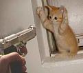 Click image for larger version

Name:	catshoot.JPG
Views:	123
Size:	7.8 KB
ID:	63771