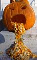 Click image for larger version

Name:	drunk-pumpkin.jpg
Views:	140
Size:	43.9 KB
ID:	63796