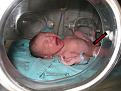 Click image for larger version

Name:	incubator.jpg
Views:	157
Size:	36.6 KB
ID:	63971