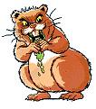 Click image for larger version

Name:	hamster.jpg
Views:	184
Size:	20.2 KB
ID:	64400