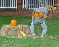 Click image for larger version

Name:	HaLLOWEENppyssHalloween.jpg
Views:	93
Size:	253.9 KB
ID:	64532