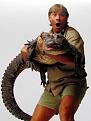 Click image for larger version

Name:	Crikeysteve.jpg
Views:	94
Size:	35.3 KB
ID:	64560
